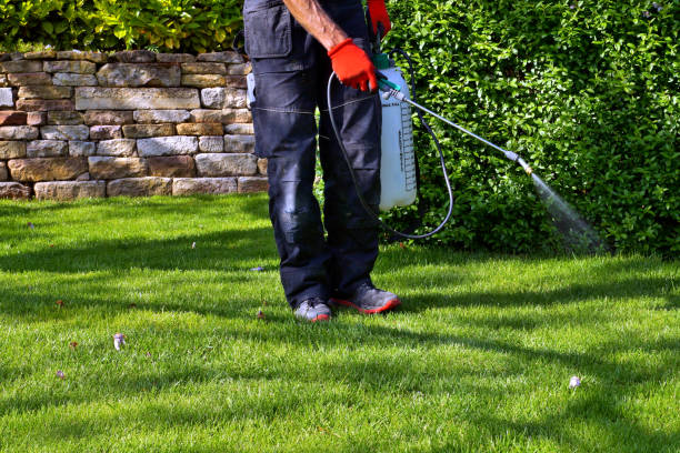 Pest Inspection and Treatment in Progress